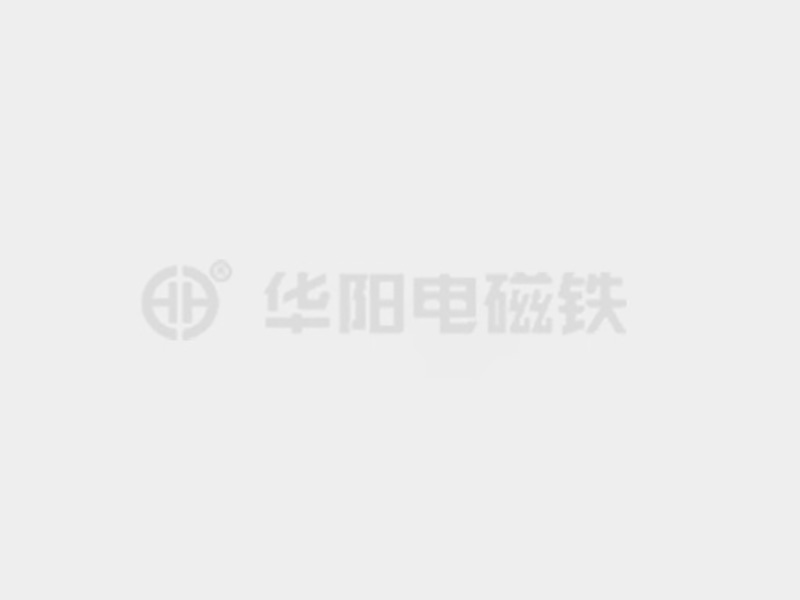 大鸡巴顶进阴道日逼视频防爆电磁铁的储存和维护较佳实践！